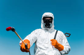 Best Organic or Eco-Friendly Pest Control  in Bellemont, AZ